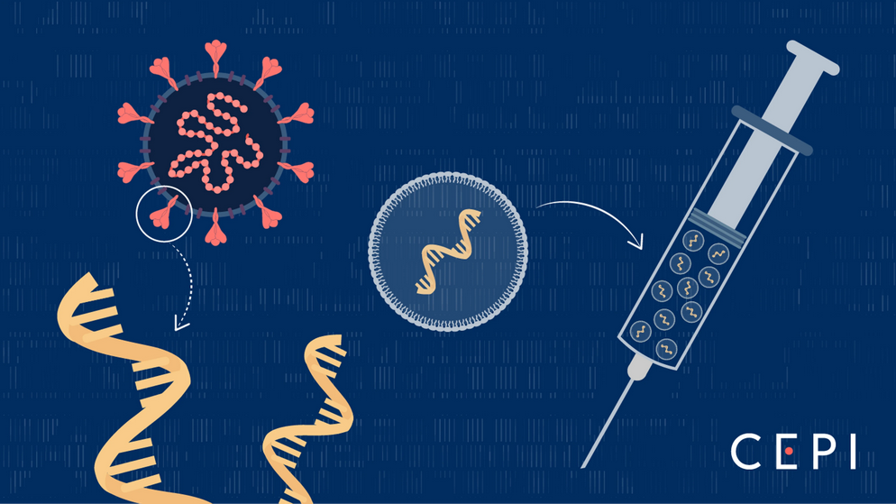 mRNA