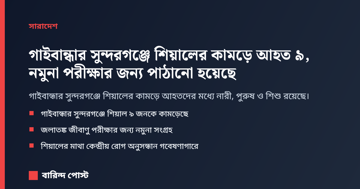 গাইবান্ধার সুন্দরগঞ্জে শিয়ালের কামড়ে আহত ৯, নমুনা পরীক্ষার জন্য পাঠানো হয়েছে