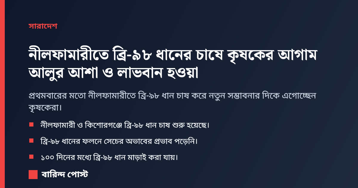 নীলফামারীতে ব্রি-৯৮ ধানের চাষে কৃষকের আগাম আলুর আশা ও লাভবান হওয়া
